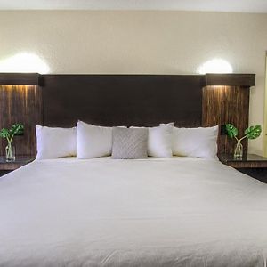 Chambre Lit King-Size